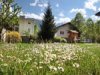 Garten Garten